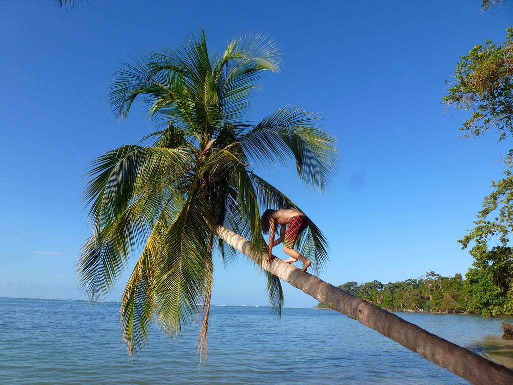 Hotel La Costa De Papito Puerto Viejo de Talamanca Екстериор снимка